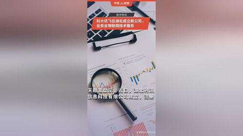 科大訊飛在湖北成立新公司，拓展物聯網技術服務版圖